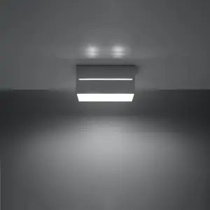 Απλίκα οροφής Sollux Lighting Lobo 2 image-2