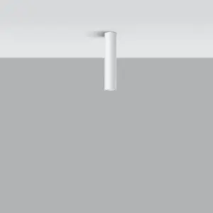 Απλίκα οροφής Sollux Lighting Lagos 30 image-1