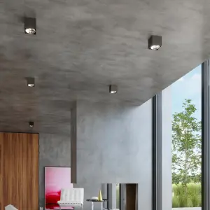 Lampada a soffitto Sollux Lighting Blake image-4