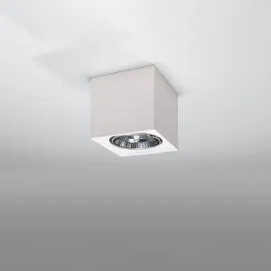 Απλίκα οροφής Sollux Lighting Seida image-1