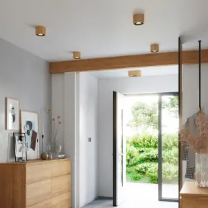 Απλίκα οροφής Sollux Lighting Basic 2 image-3