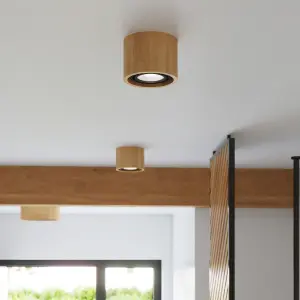 Απλίκα οροφής Sollux Lighting Basic 2 image-5