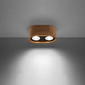Απλίκα οροφής Sollux Lighting Basic 2 image-2