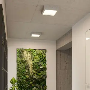 Επιτοίχιο φωτιστικό από σκυρόδεμα Sollux Lighting Riza image-4