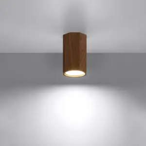 Απλίκα οροφής Sollux Lighting Zeke 10 image-2