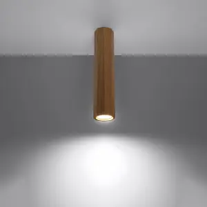 Απλίκα οροφής Sollux Lighting Zeke 30 image-2