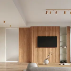 Απλίκα οροφής Sollux Lighting Keke 2 image-3