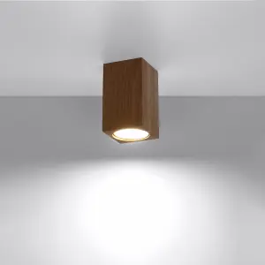 Απλίκα οροφής Sollux Lighting Keke 10 image-2