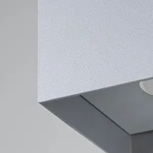 Απλίκα οροφής Sollux Lighting Hati image-2