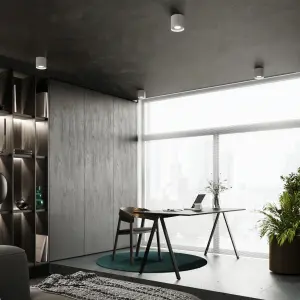 Απλίκα οροφής Sollux Lighting Mika image-3