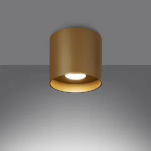 Απλίκα οροφής Sollux Lighting Mika image-1