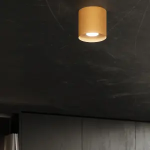 Απλίκα οροφής Sollux Lighting Mika image-2