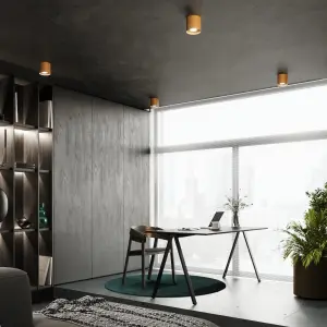 Απλίκα οροφής Sollux Lighting Mika image-4