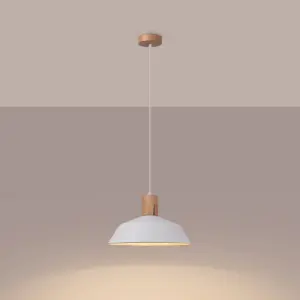 Κρεμαστή λάμπα Sollux Lighting Fano image-1