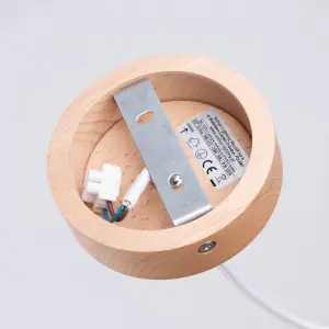 Κρεμαστή λάμπα Sollux Lighting Fano image-4