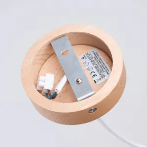 Κρεμαστή λάμπα Sollux Lighting Indy image-4