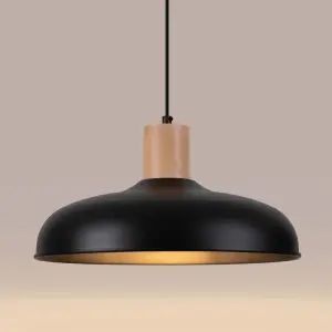 Κρεμαστή λάμπα Sollux Lighting Indy image-3