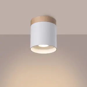 Απλίκα οροφής Sollux Lighting Rif image-1