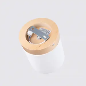 Απλίκα οροφής Sollux Lighting Rif image-6