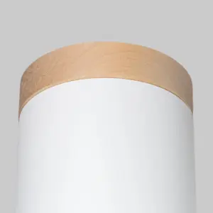 Απλίκα οροφής Sollux Lighting Rif image-4
