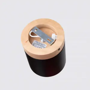 Απλίκα οροφής Sollux Lighting Rif image-5