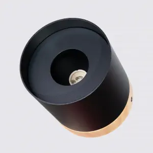 Απλίκα οροφής Sollux Lighting Rif image-2
