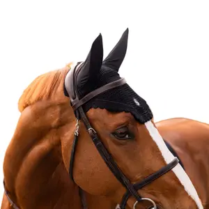 Häst flughatt Samshield Soundshield Fly Veil Swarovski image-3