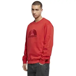 Sweatshirt Southpole 3d col rond image-0