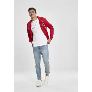 Sweatshirt Southpole Insignia logo zip image-2