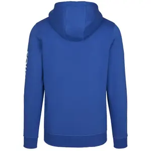 Sweatshirt Southpole Insignia logo zip image-5