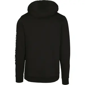 Sweatshirt Southpole Insignia logo image-2