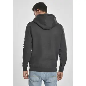 Sweatshirt Southpole Insignia logo image-6