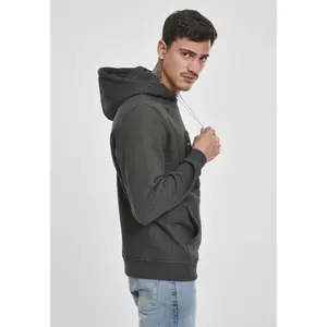 Sweatshirt Southpole Insignia logo image-3
