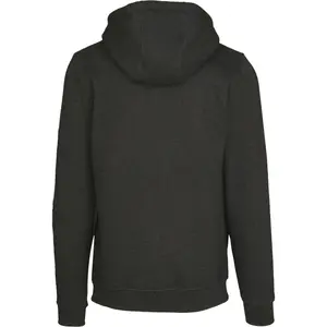 Sweatshirt Southpole Insignia logo image-5