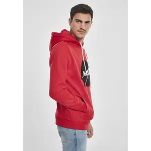Sweatshirt Southpole Insignia logo image-3