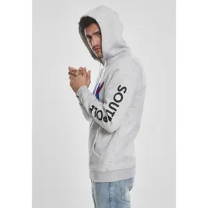 Sweatshirt Southpole Insignia logo image-5
