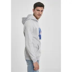 Sweatshirt Southpole Insignia logo image-3