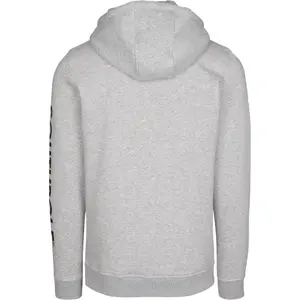 Sweatshirt Southpole Insignia logo image-6
