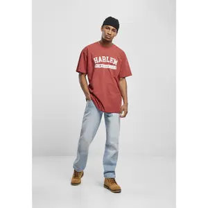 T-shirt Southpole southpole harlem image-2