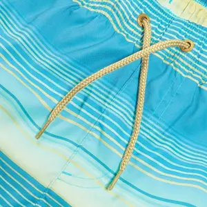 Short de bain Speedo Placem Leisure 16 image-3