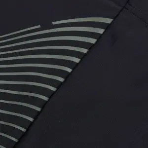 Koupací boxerky Speedo Medley Logo AQSH image-4