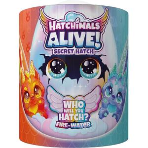 Imagination games Spin Master Draggle Hatchimals Alive