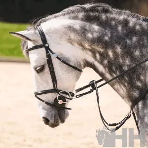 Mors 2 pierścienie do konia do podnoszenia kantara Sprenger Nathe image-2