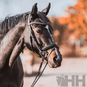 Olive bit for horses Sprenger KK Ultra 70 mm image-1