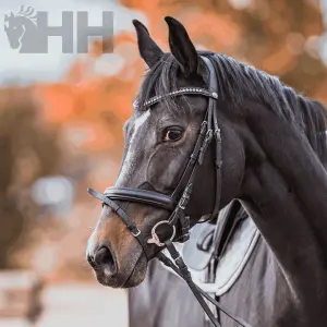 Olive bit for horses Sprenger KK Ultra 70 mm image-2