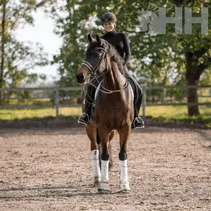 English bit for horse Sprenger Basic image-2