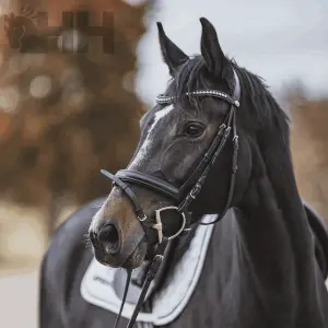 D-ring snaffle bit for horses Sprenger KK image-3