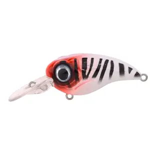 Lure Spro Fat Iris 50 CR image-0