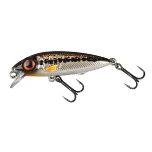 Lure Spro Iris The Kid 48 image-0
