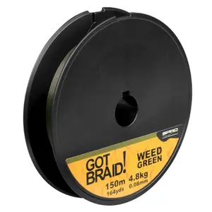 Braid Spro Got image-0